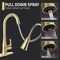 Anzzi Touchless Pull-Down Faucet with Fan Sprayer in BRUSHED GOLD KF-AZ301BG - alternate 4